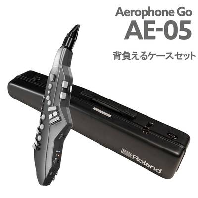 Roland Aerophone AE-05 エアロフォン専用 CCシャイニーケース