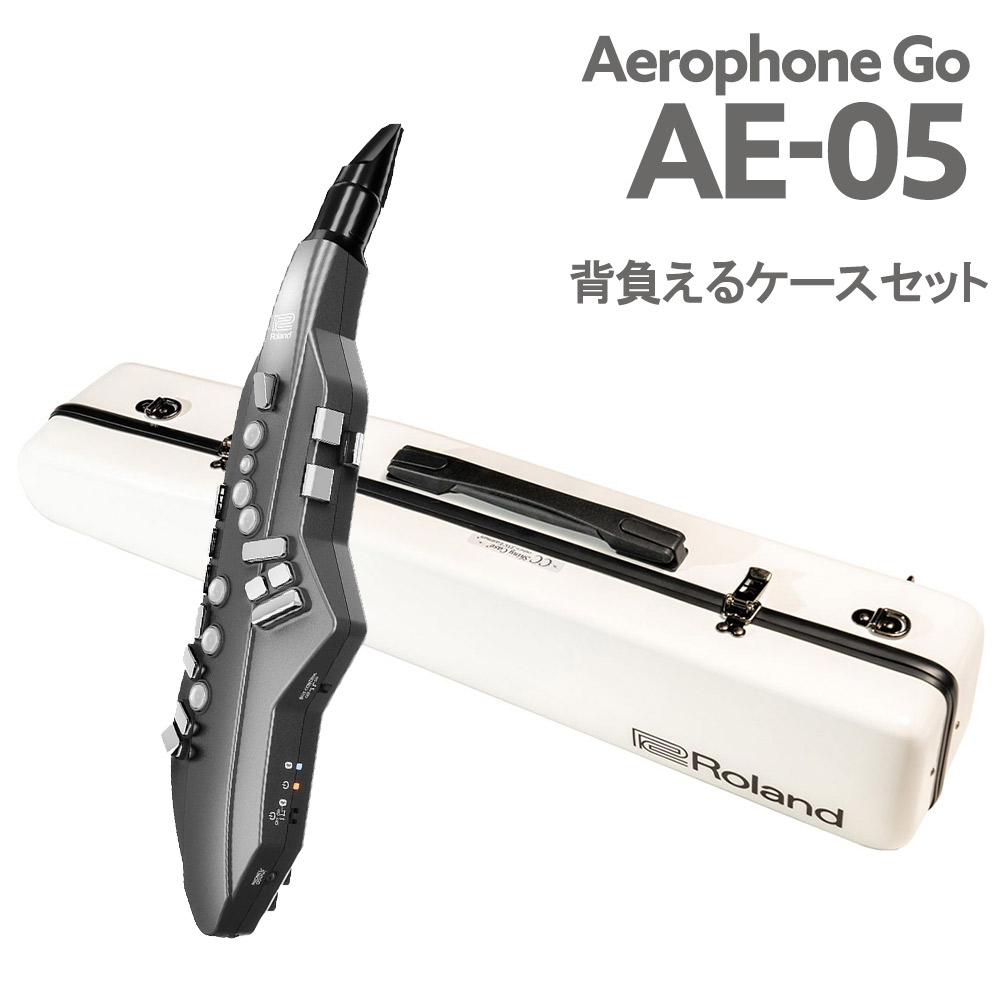 Roland Aerophone AE-05 エアロフォン専用 CCシャイニーケース 