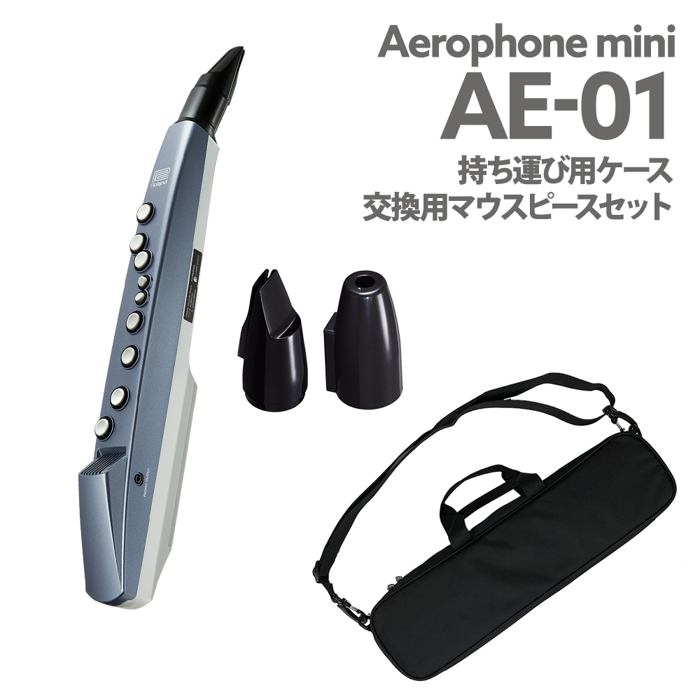 25080円 最大83％オフ！ Roland Aerophone mini AE-01 持ち運びケースセット