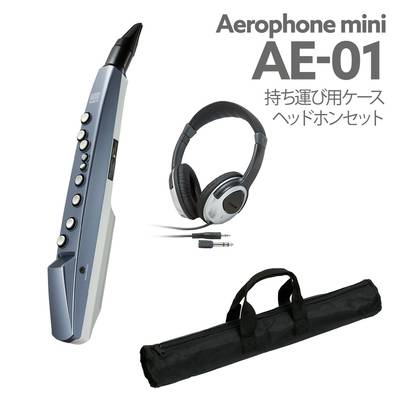 ETSUMI 島村楽器オリジナル SC-AE05 10 Roland エアロフォン Aerophone 