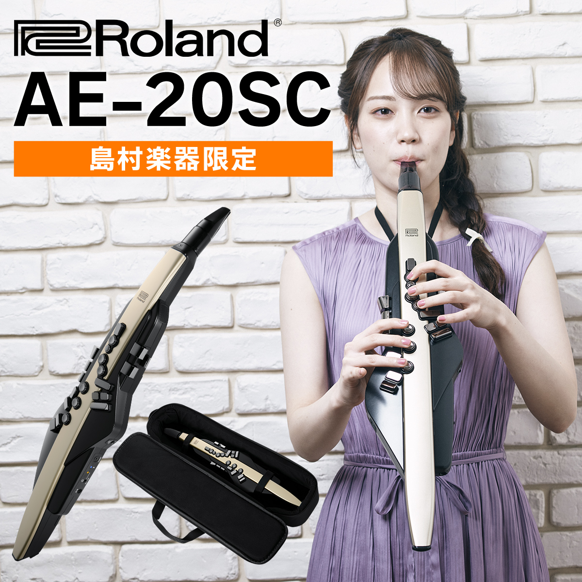 教則動画付き] Roland AE-20SC 島村楽器限定モデル ゴールドカラー