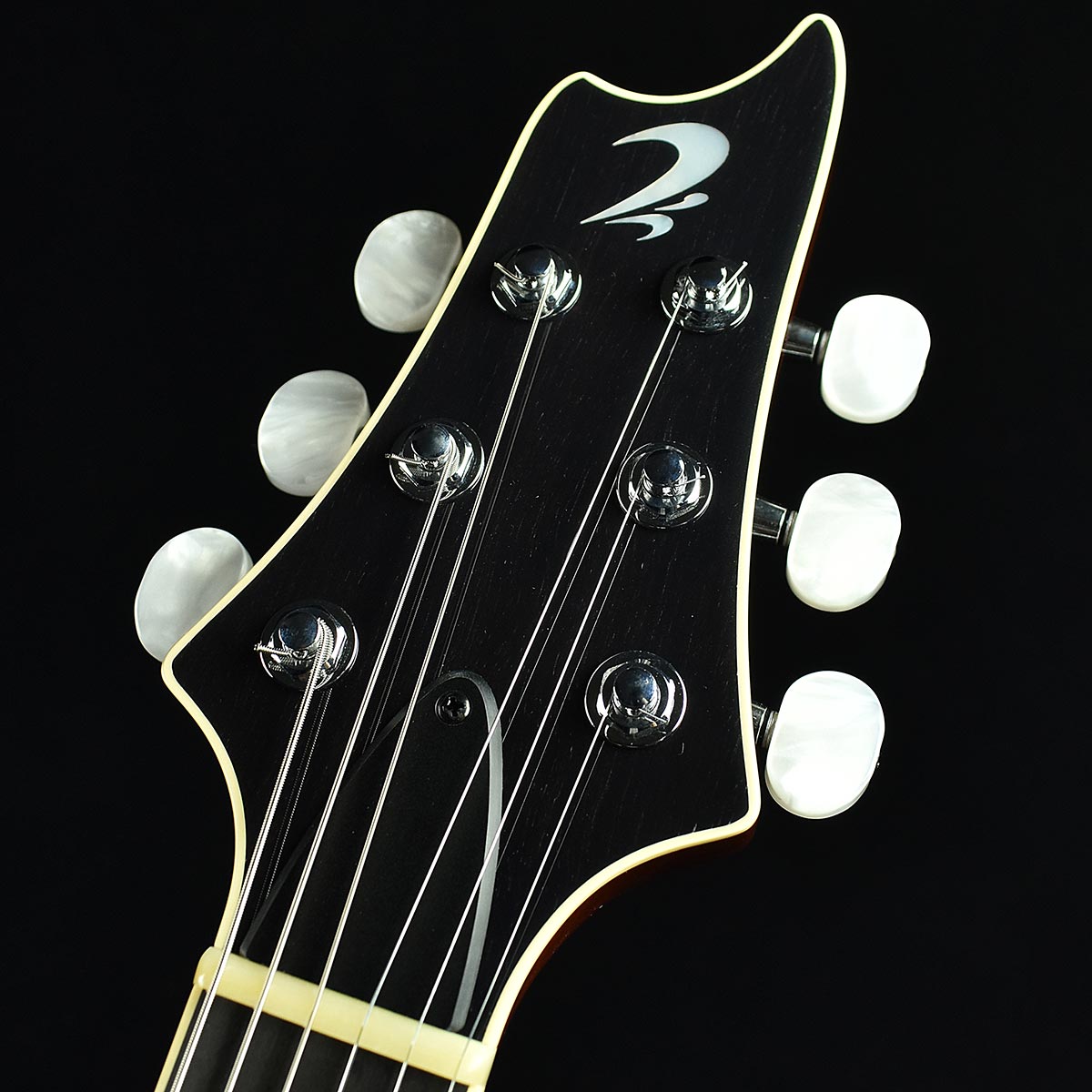 旧価格】 T's Guitars Arc-STD/VS100N Flame Maple Arctic Blue S/N 