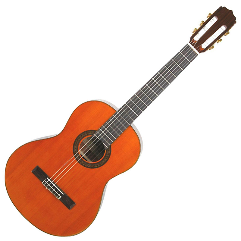 ARIA A-20 クラシックギター 650mm 杉単板／サペリ ソフトケース付き