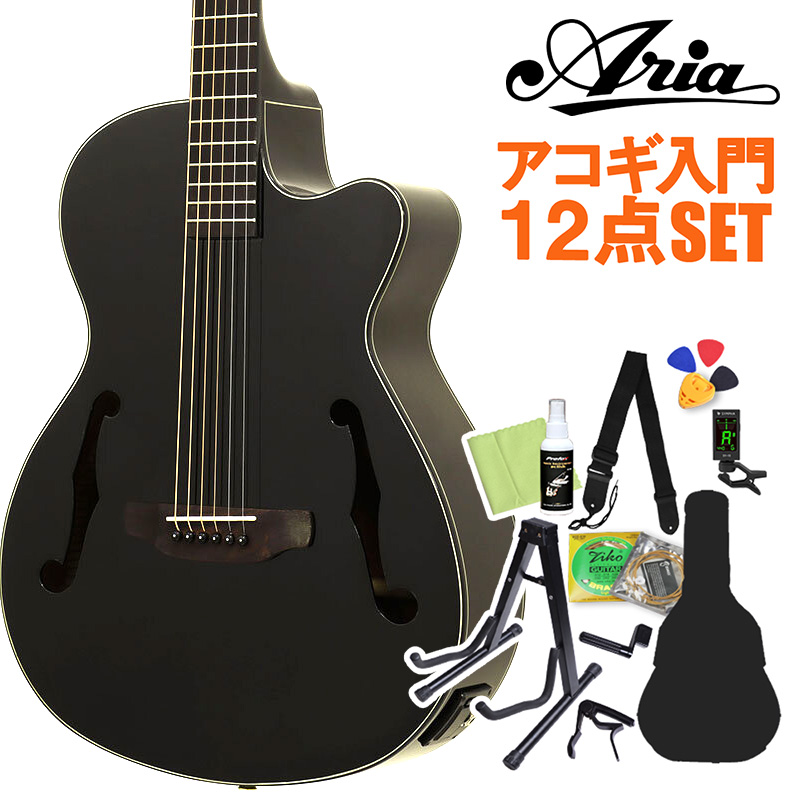 ARIA FET-F2/BnG アコースティックギターギター初心者12点セット