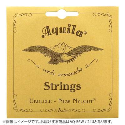 Aquila 24U Nylgut String 6弦バリトンウクレレ用 DGBE (1st 3rd 複弦 / 3rd 4th Red 弦) AQ-B6W アキーラ ウクレレ弦