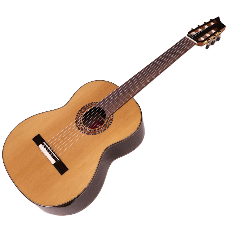 アストリアス 7弦ギター（7-string）クラシックギター - 楽器/器材