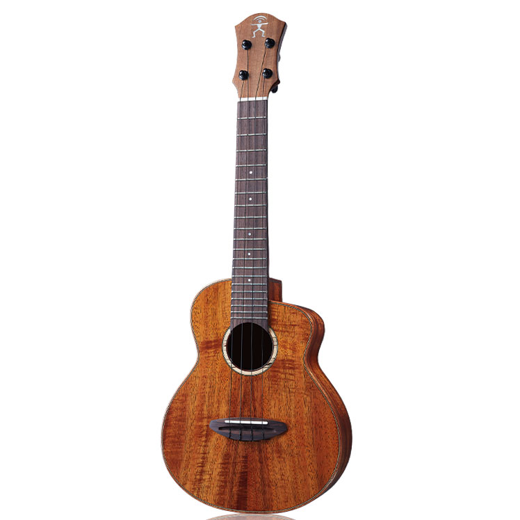 aNueNue UC1K コンサートウクレレ 2A KOA Bird Ukulele