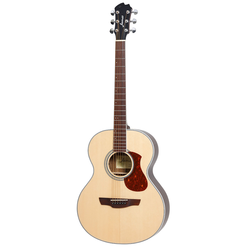 アコースティックギター james j450 a/ova - 楽器/器材