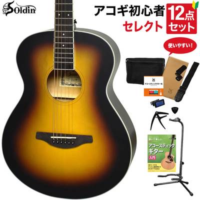 Soldin SFG-15 BSS アコースティックギター 教本付きセレクト12点セット 初心者セット OOOサイズ サテン塗装 ソルディン 