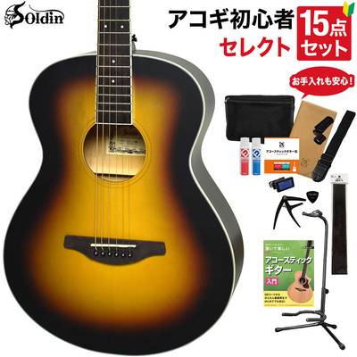 Soldin SFG-15 BSS アコースティックギター セレクト15点セット