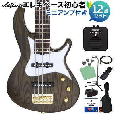 AriaProII RSB-42AR/5 SBK 5弦ベース初心者12点セット 【ミニアンプ付