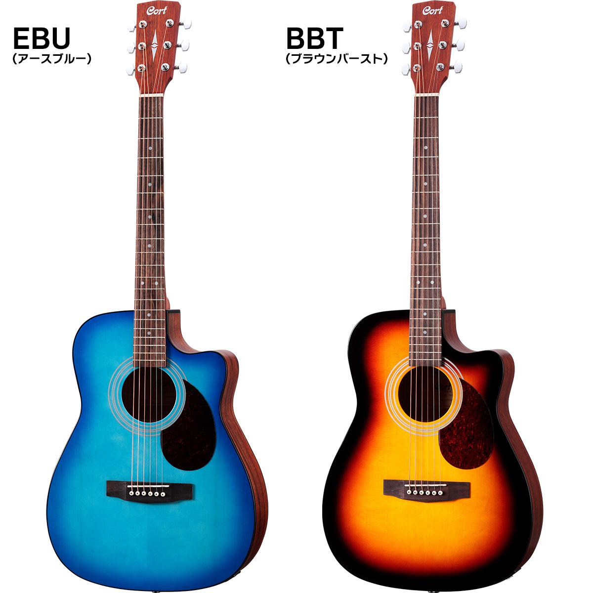 選べる4色アコースティックギター カッタウェイタイプ (ブラック