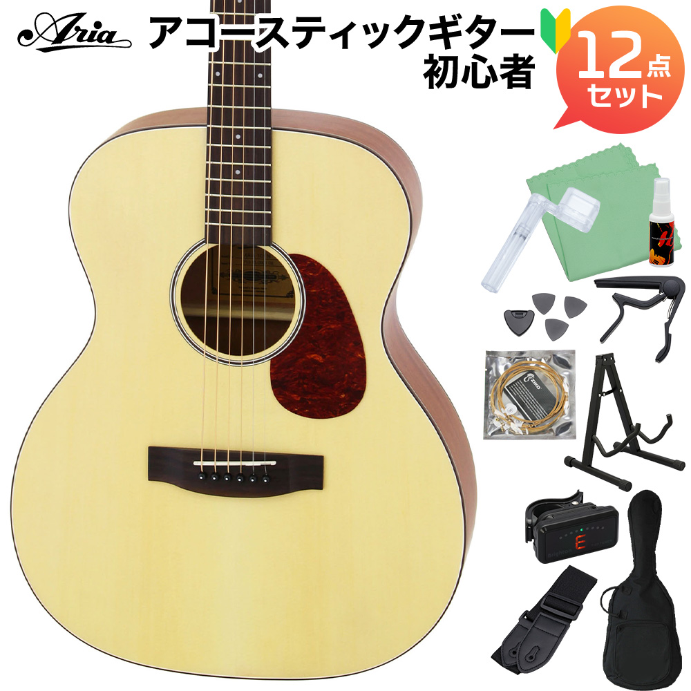 ARIA アリア Aria-101 MTN アコースティックギター初心者セット12点セット マットナチュラル 艶消し塗装