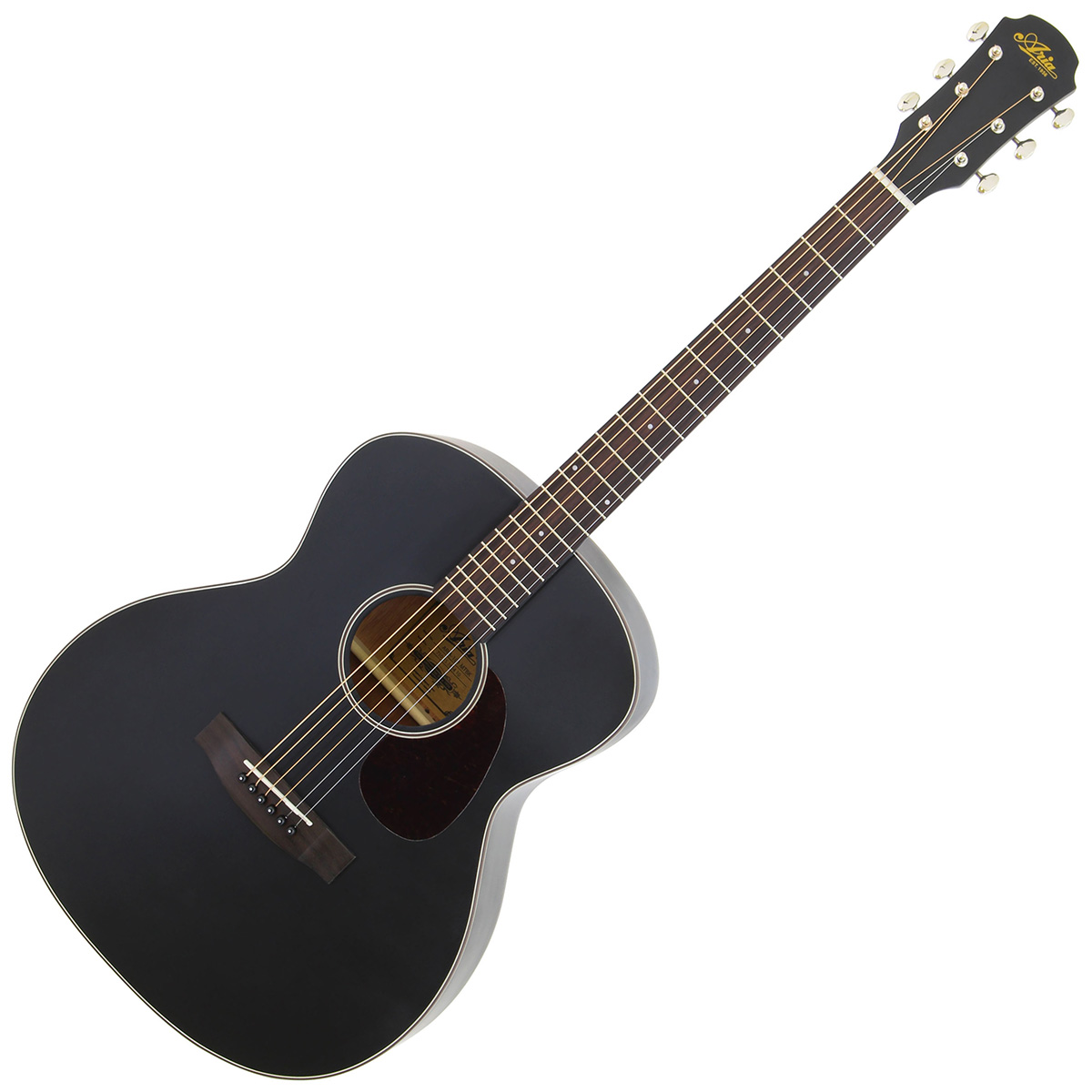 ARIA Aria-101 MTBK アコースティックギター初心者セット12点セット 
