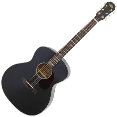 ARIA Aria-101 MTBK アコースティックギター初心者セット12点セット ...