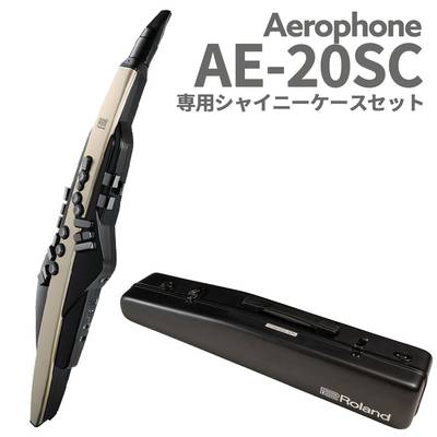 エアロフォン AE-20SC