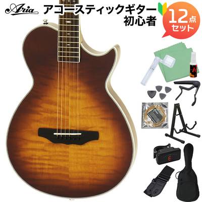 ARIA APE-100 TS アコースティックギター初心者12点セット 【エレキ