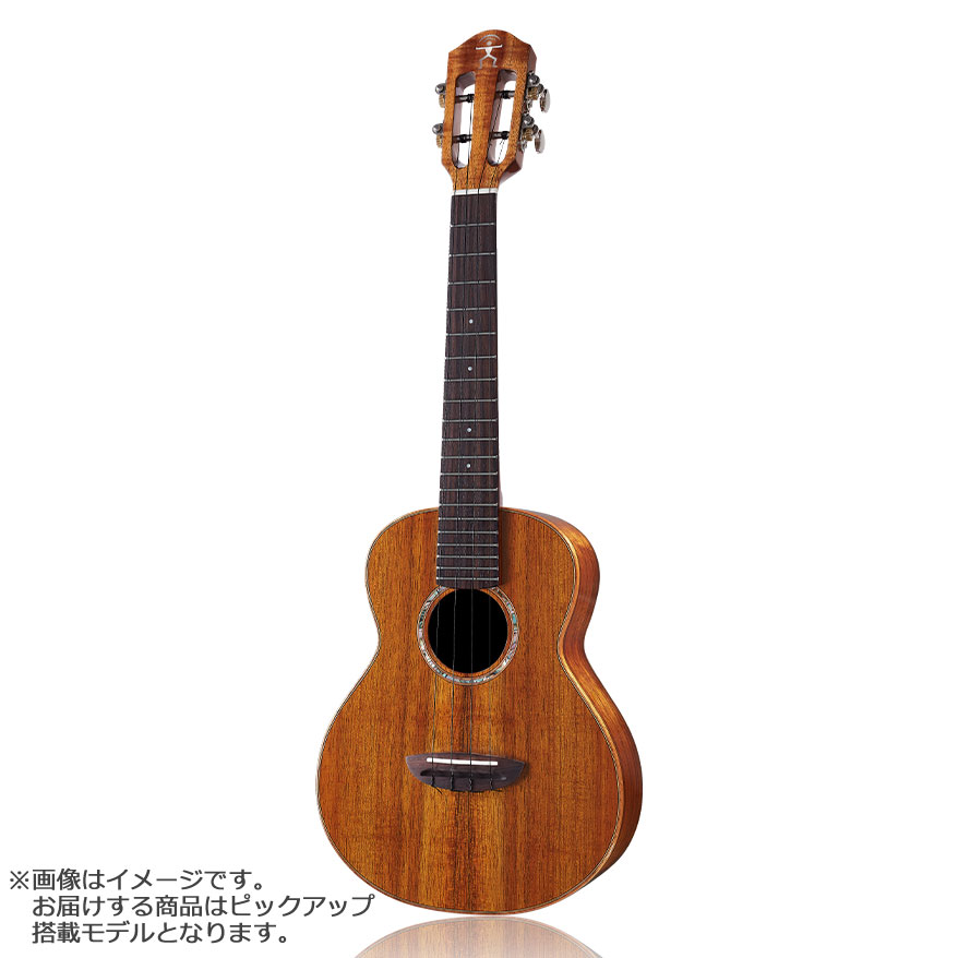 Kaysen ukulele】コア単板のエレキテナーウクレレ【ウクレレ専門店