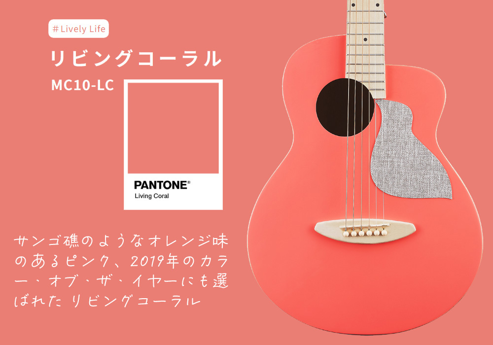 aNueNue aNN-MC10 アコースティックギター コンパクトサイズ ミニ 