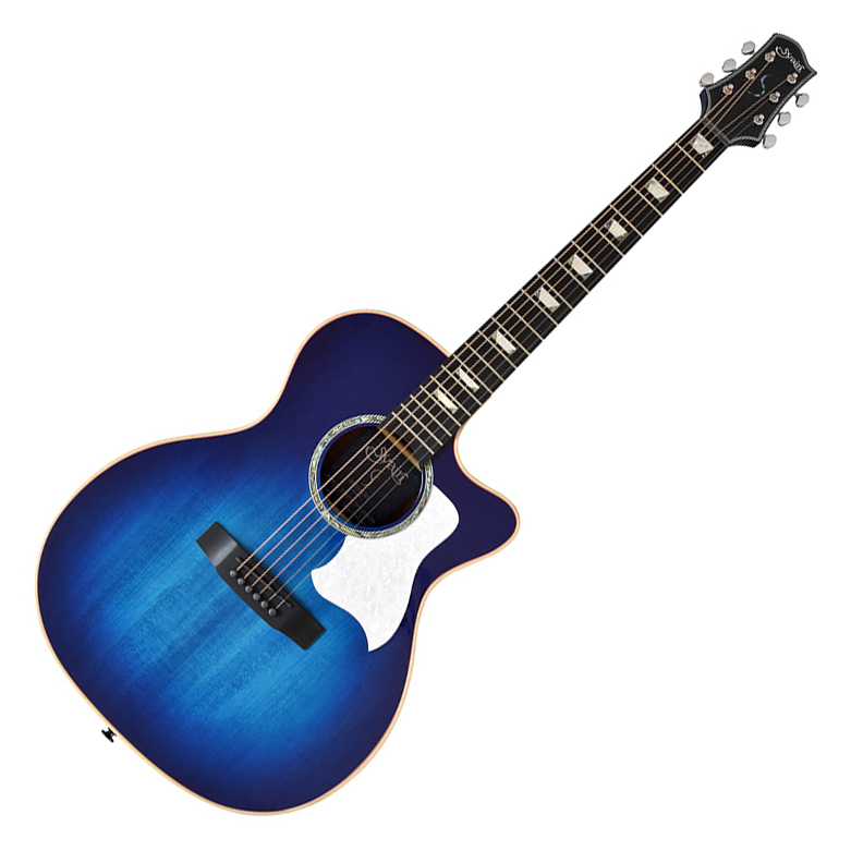 希少 J-65-E SB グレコエレアコ ギター 56%割引 - n3quimica.com.br