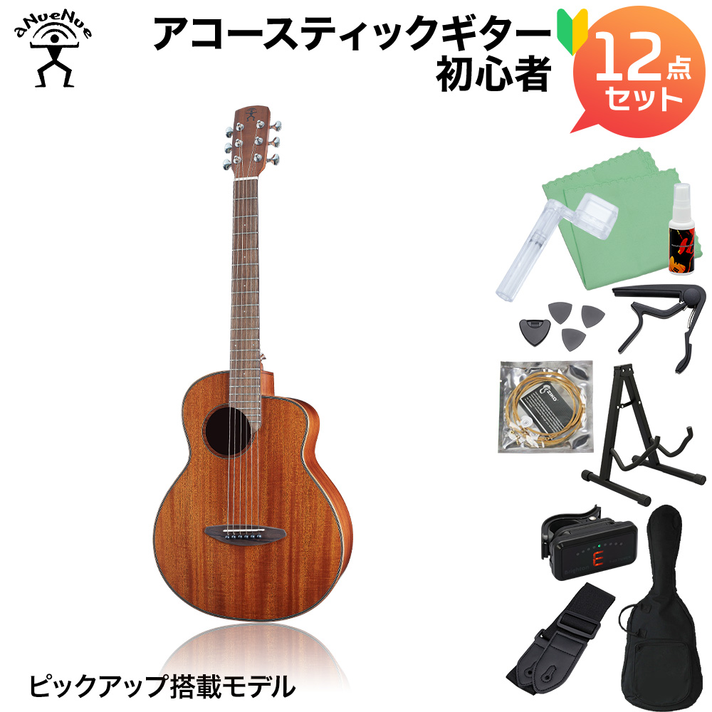 aNueNue アヌエヌエ M20E アコースティックギター初心者12点セット エレアコギター Original オリジナルシリーズ aNN-M20E