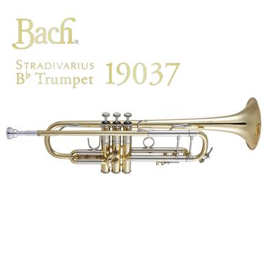 Bach 19037GL B♭トランペット バック ラッカー仕上げ