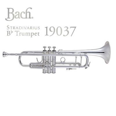 Bach 19037SP B♭トランペット バック 銀メッキ仕上げ