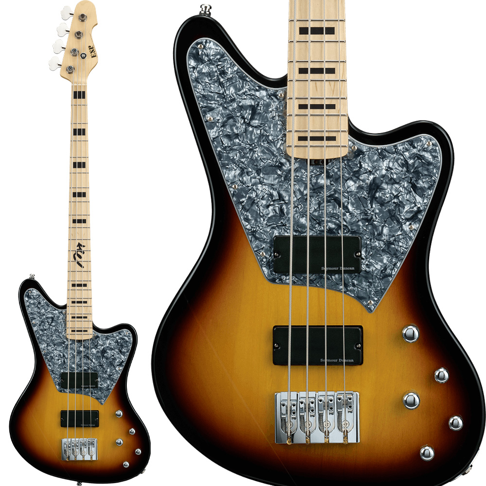 ギグケース ギグバッグ ギター用 ソフトケース 黒 ESP - 器材