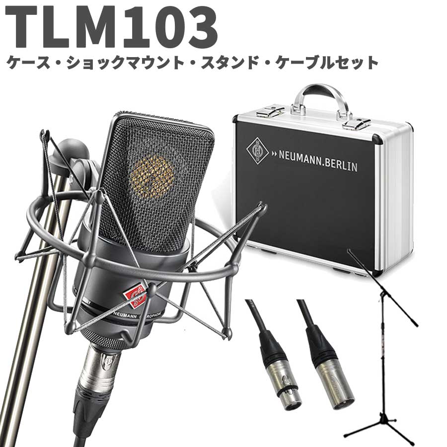 NEUMANN TLM 103 mt mono set スタンド・ケーブルセット ブラック コンデンサーマイク アコギ 管楽器にオススメ！ ノイマン TLM103