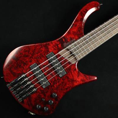Ibanez EHB1505 Stained Wine Red Low Gloss　S/N：I231204709 【ヘッドレスベース】【５弦】 アイバニーズ 【未展示品】