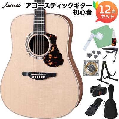 James J-300DII アコースティックギター初心者12点セット ドレッドノート 簡単弦高調整 トップ単板 ジェームス 