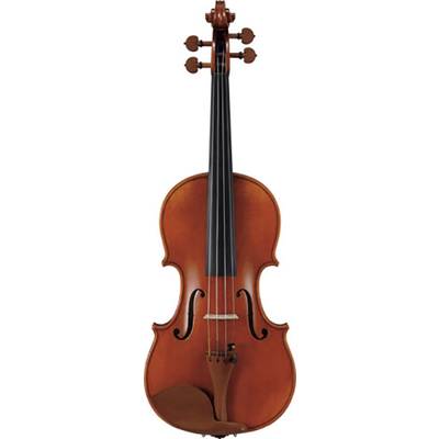 Carlo giordano VNS-260 4/4用 バイオリン弦セット カルロジョルダーノ 