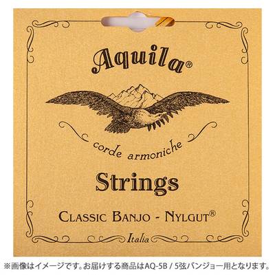 Aquila AQ-5B バンジョー弦 5弦 ナイルガット ミディアムゲージ 【アキーラ】