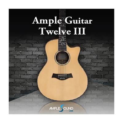 AMPLE SOUND AMPLE GUITAR TWELVE III アンプル・サウンド A6844[メール納品 代引き不可]