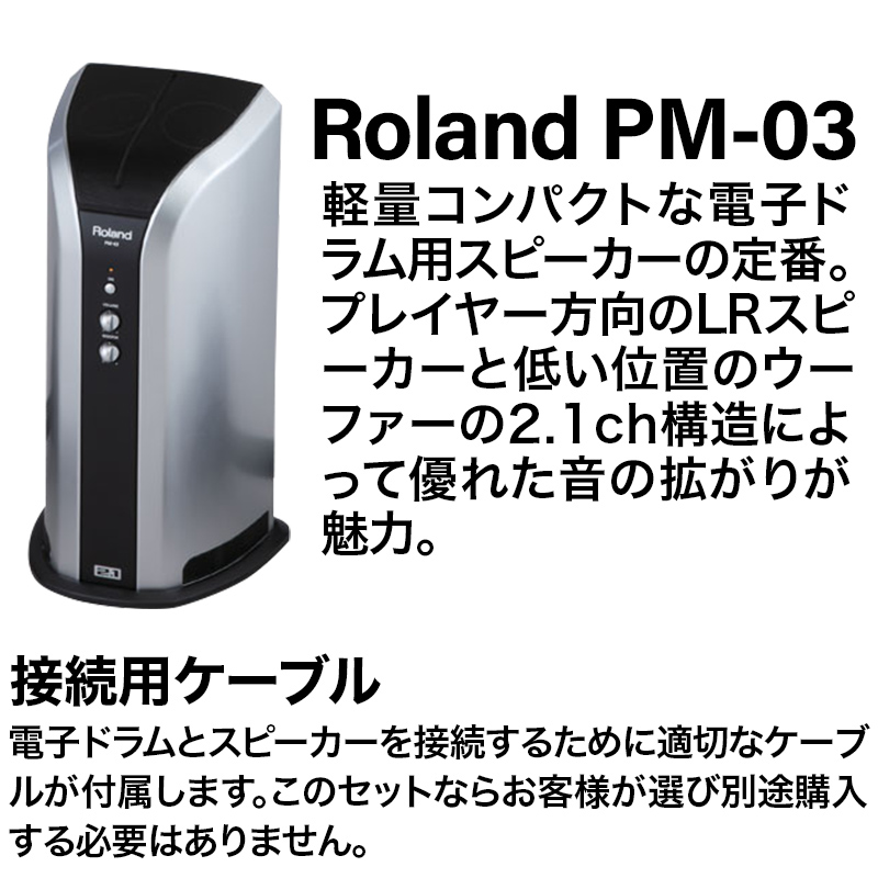 ROLAND ( ローランド ) PM-03 2.1チャンネル・スピーカー箱無し説明書なし