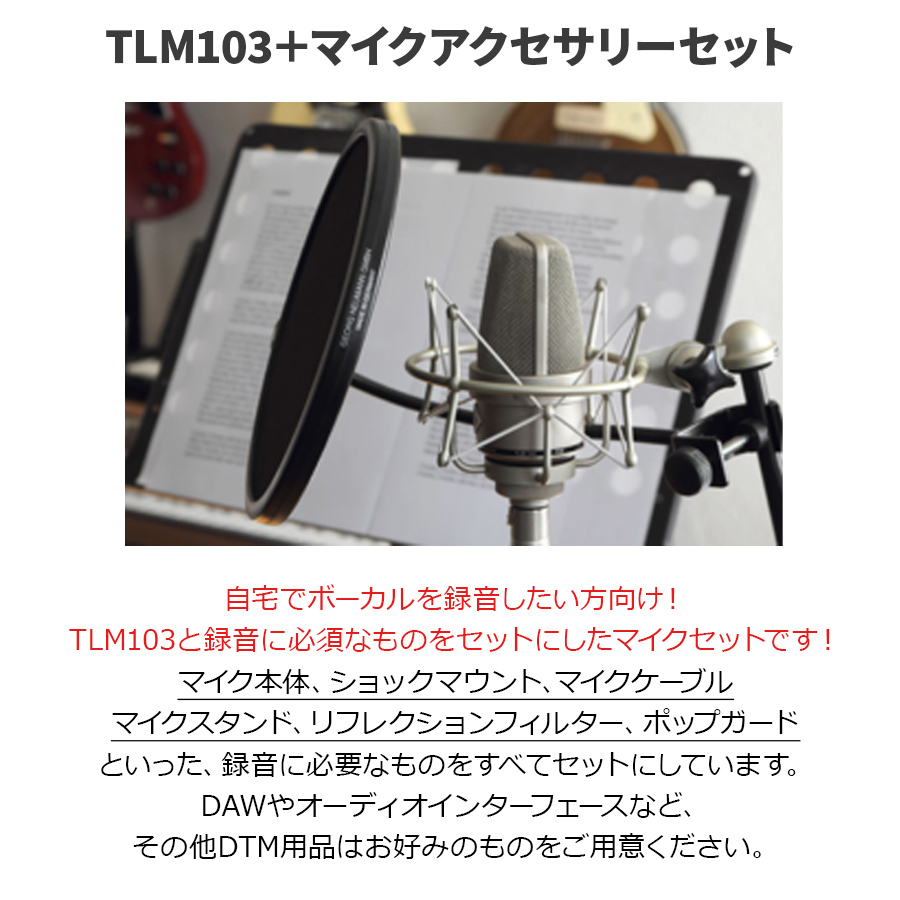 【保管用湿度調整剤 プレゼント！】 NEUMANN TLM 103 Studio set ボーカル・ナレーター録音セット シルバー コンデンサーマイク  ノイマン TLM103