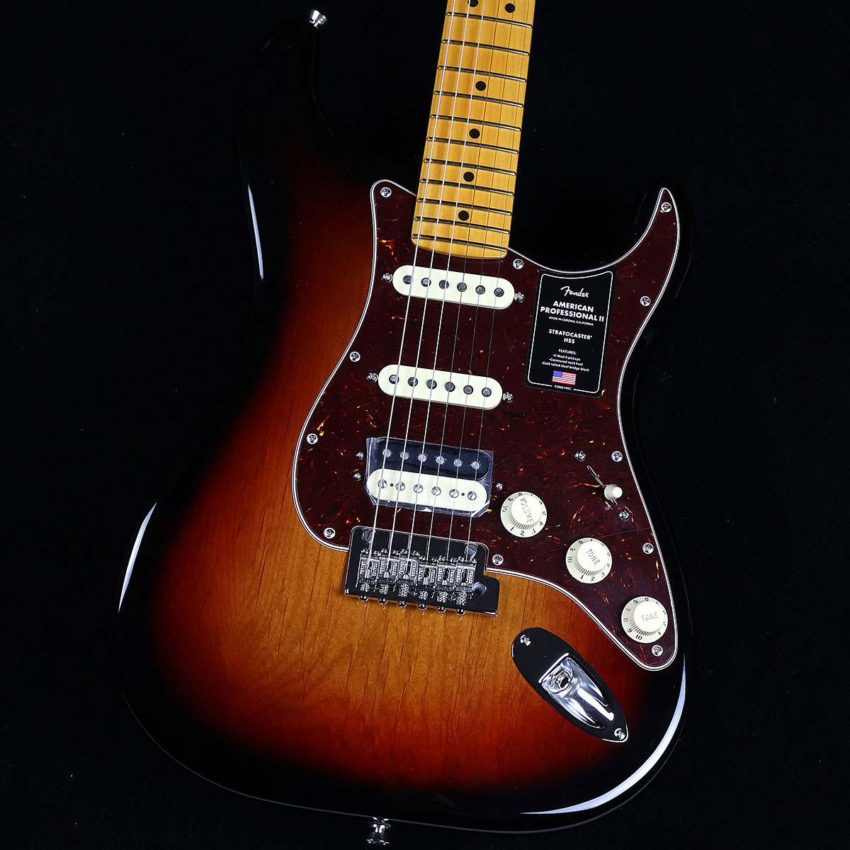 送料込みAmericanProfessional II Stratocaster