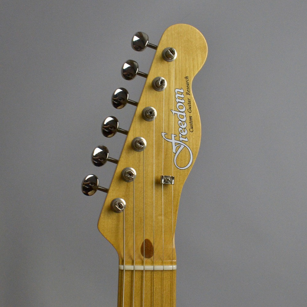 Freedom Custom Guitar Research RS-TE エレキギター/ラッカー 