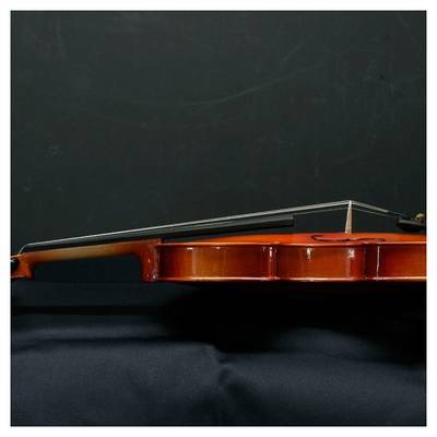 STENTOR SV  バイオリン サイズ ステンター   島村楽器